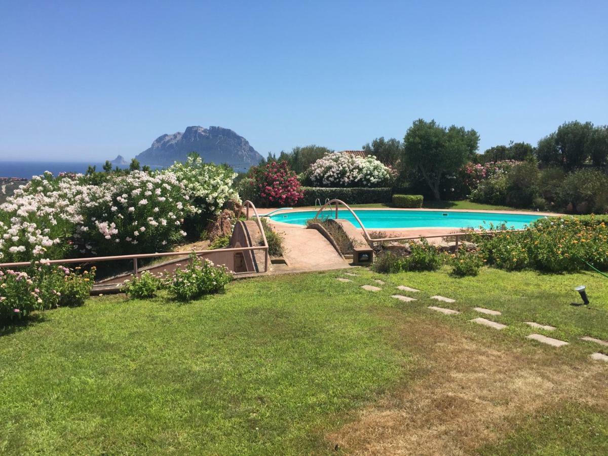 Villa Kate B&B 포르토산파울로 외부 사진